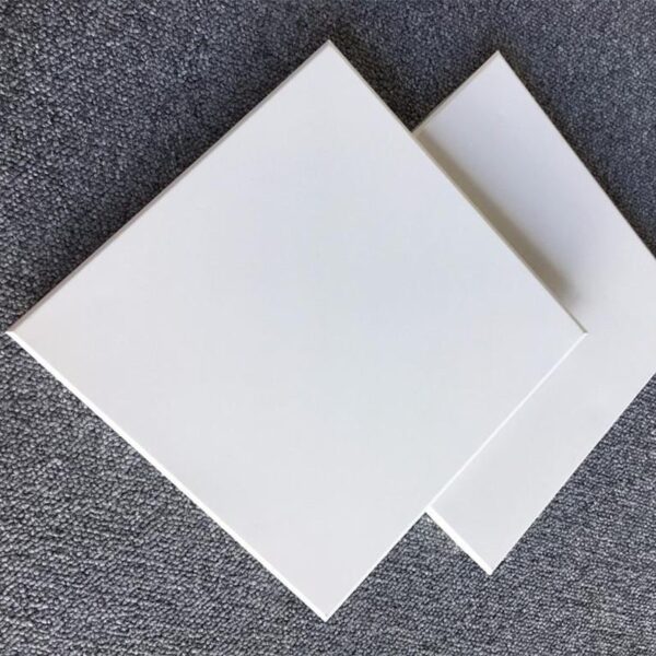Lay in Ceiling - Hình ảnh 3