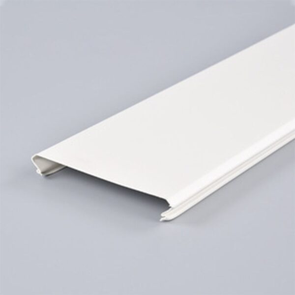 Strip ceiling - Image 2