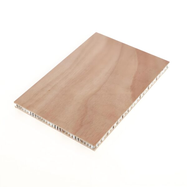 Fireproof & Corrosion Resistant Aluminum Honeycomb Panels for Architecture Projects - Imej 3